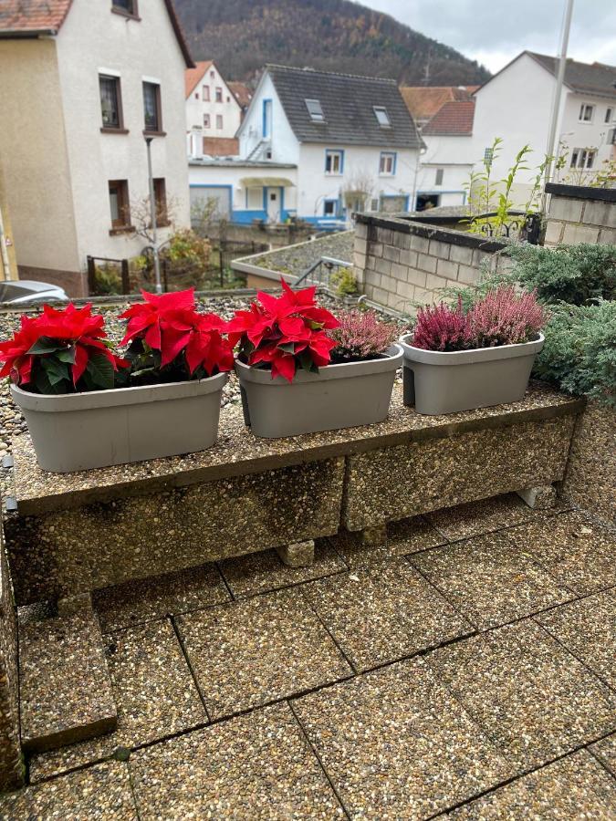 Fewo Dana Leilighet Neckarsteinach Eksteriør bilde